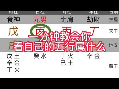 天運五行屬木|天運五行查詢大全，詳解